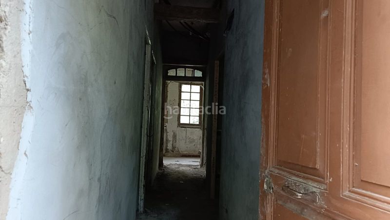 Foto c13503c3-0bcd-4d29-ba8c-d42546a1974f. Pis a Teverga