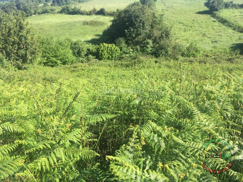 Foto 7fb83492-3d87-4098-a86f-f875275a9035. Terreno residencial fincas no edificables en Carreño