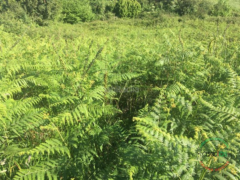 Foto b67d831d-6242-4228-b23b-2cf89f91eb1e. Terreno residencial fincas no edificables en Carreño