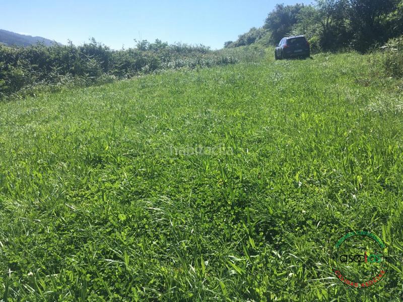 Foto db100916-0fb5-45e0-90ce-73e00824f92e. Terreno residencial fincas no edificables en Carreño