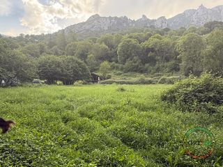 Finca rústica a Lugar lleron s/n. Finca rústica no edificable de 10.000 m en quirós, junto a la se