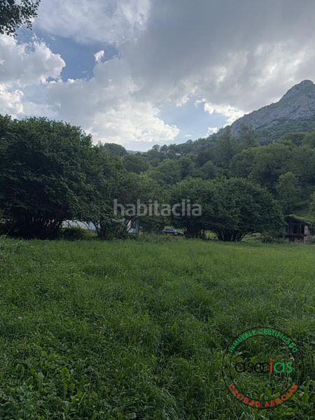 Foto 28711a61-280b-479d-985e-492333c08a9c. Finca rústica a lugar lleron s/n a Quirós