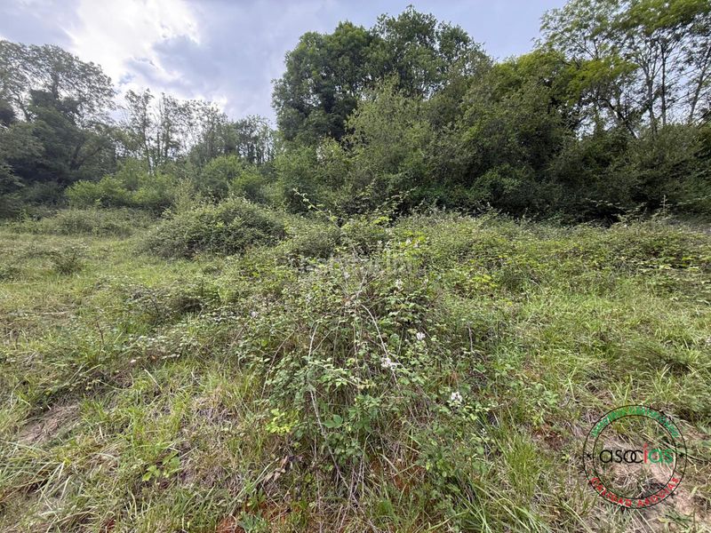 Foto 68b8a959-fdce-4a73-8369-adbca60dfc57. Finca rústica a lugar lleron s/n a Quirós