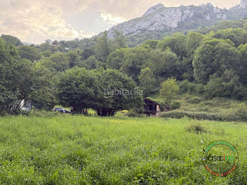 Foto c0513d5a-7401-4304-b1db-8b3cb0cded4a. Finca rústica a lugar lleron s/n a Quirós