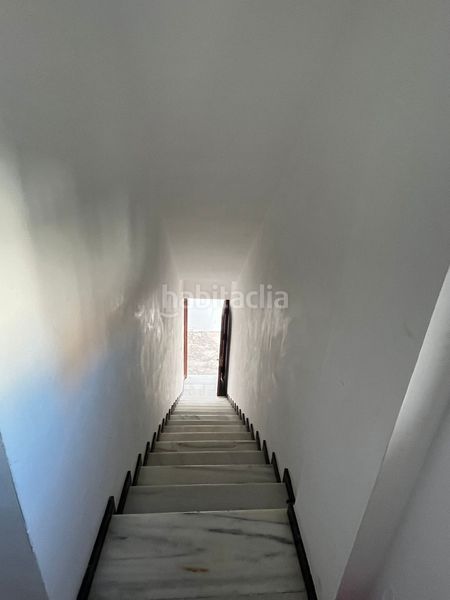 Foto 3182fe00-8231-4e72-a6b9-cde13f1565fc. Pis a Benalup