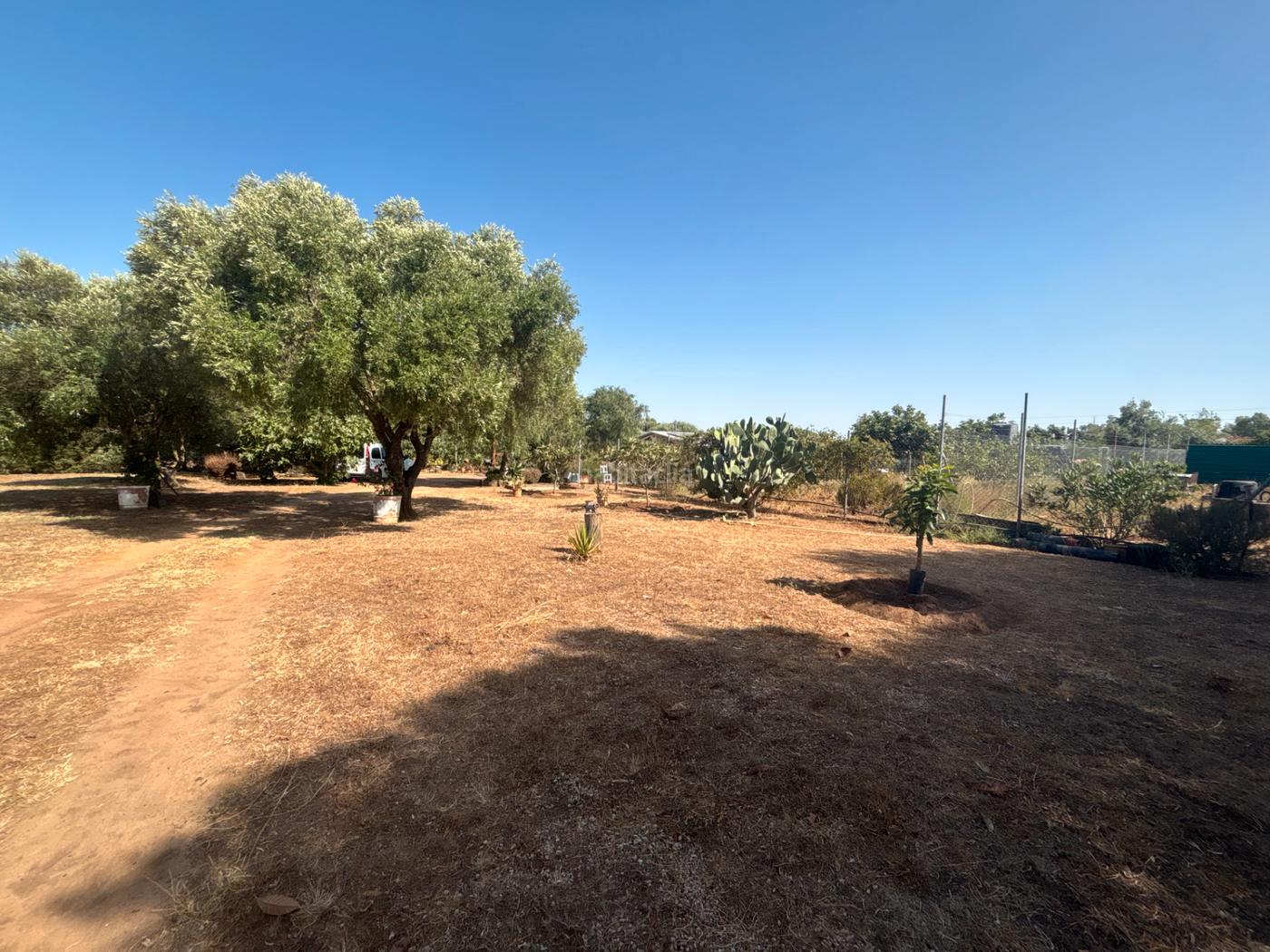 ?? Gran parcela rstica con vivienda y huerto en venta Medina - Sidonia