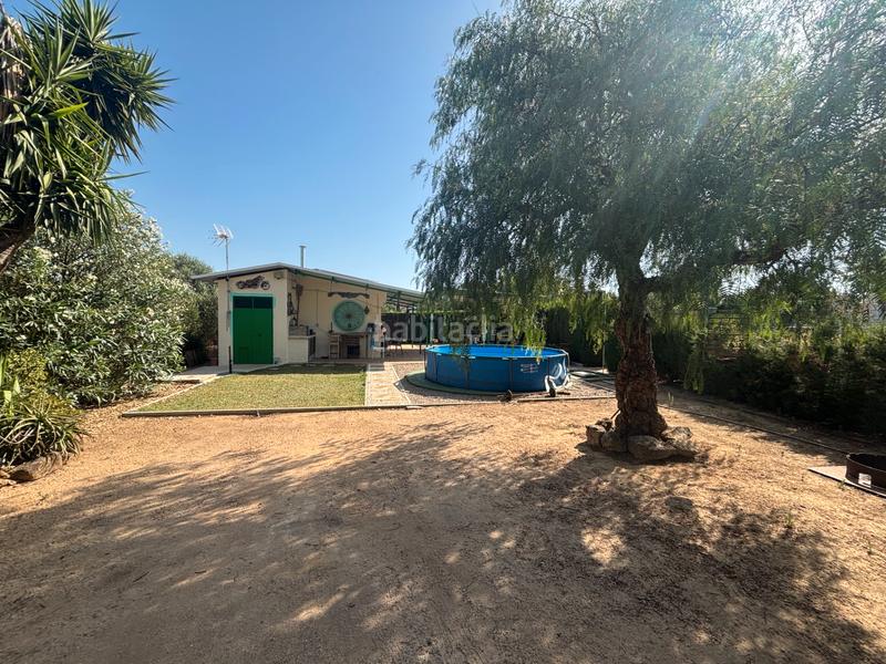 Foto 1da42f09-5df5-4201-9297-ce2de654b2d1. Finca rústica ?? gran parcela rústica con vivienda y huerto en venta en Medina - Sidonia