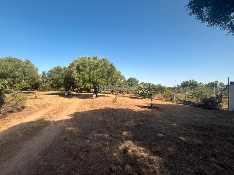 Foto 261df3b6-ff18-43f4-a6dd-9001ae0cc814. Finca rústica ?? gran parcela rústica con vivienda y huerto en venta en Medina - Sidonia
