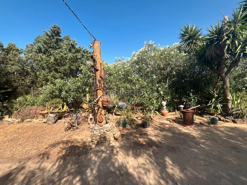 Foto 3fffe684-e053-4006-85fd-35223fb833aa. Finca rústica ?? gran parcela rústica con vivienda y huerto en venta en Medina - Sidonia