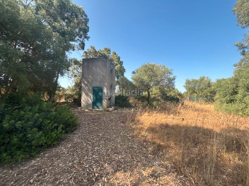 Foto 81708557-6731-4619-8323-b6b69a36f91d. Finca rústica ?? gran parcela rústica con vivienda y huerto en venta en Medina - Sidonia