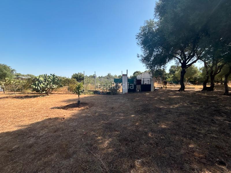 Foto 90c4b033-fccd-40f7-81a8-3c66ff516bc4. Finca rústica ?? gran parcela rústica con vivienda y huerto en venta en Medina - Sidonia