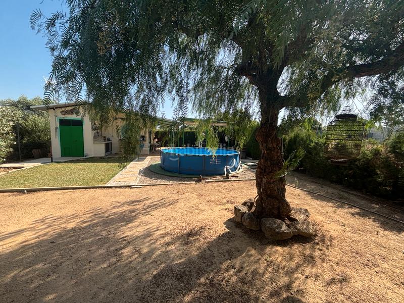 Foto b0264ac2-1f52-4433-b0ab-ceb4c0a73caf. Finca rústica ?? gran parcela rústica con vivienda y huerto en venta en Medina - Sidonia
