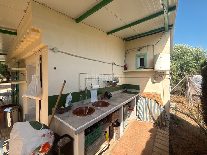 Foto ce954cff-c723-48bc-8a46-2c140b83aad5. Finca rústica ?? gran parcela rústica con vivienda y huerto en venta en Medina - Sidonia