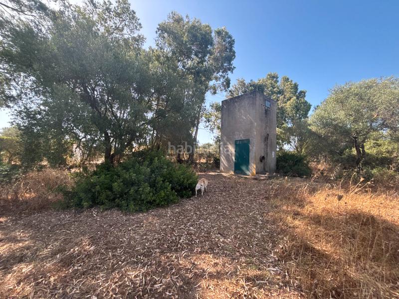 Foto d07b5a3f-d51d-4b6e-ab42-15dca936de5f. Finca rústica ?? gran parcela rústica con vivienda y huerto en venta en Medina - Sidonia