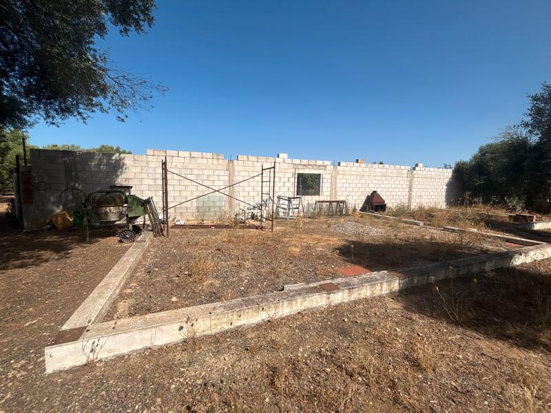 Foto feb21860-a971-4089-90e4-0c19e5a20efc. Finca rústica ?? gran parcela rústica con vivienda y huerto en venta en Medina - Sidonia