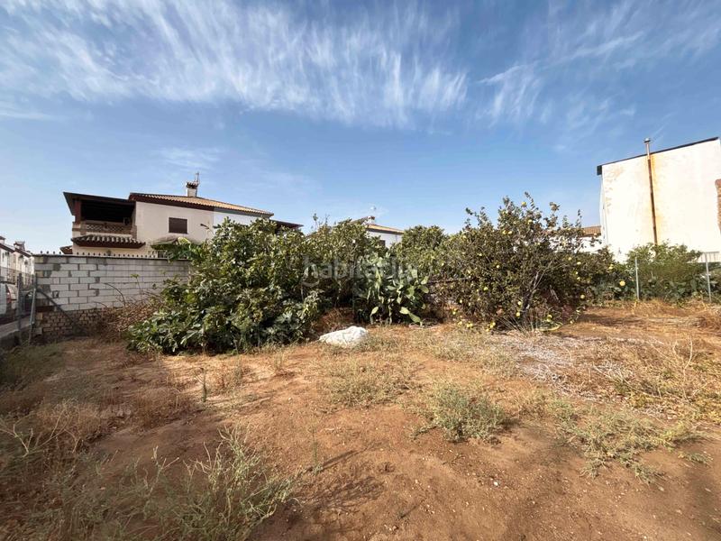 Foto 2fbc3024-2041-4ddb-bf3c-0a01a5d04229. Terreno residenziale in calle antonio machado 9 in Benalup