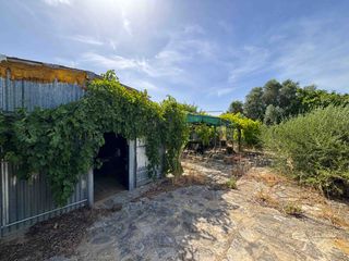 Finca rústica a Medina Sidonia. ??oportunidad parcela rústica