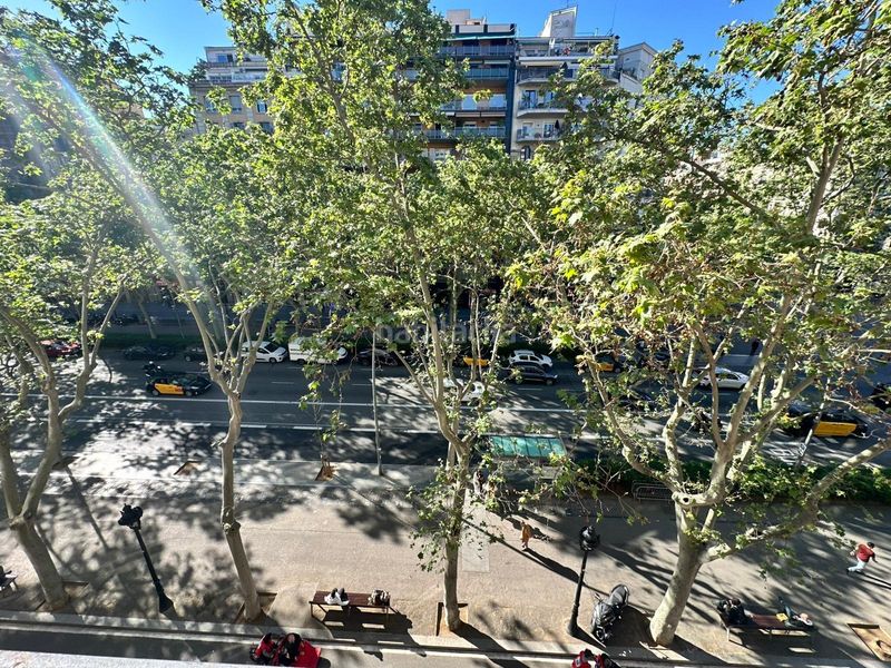 Foto 02ad9dc3-8802-401b-9281-5f4cb984f438. Apartament a Sant Antoni Barcelona