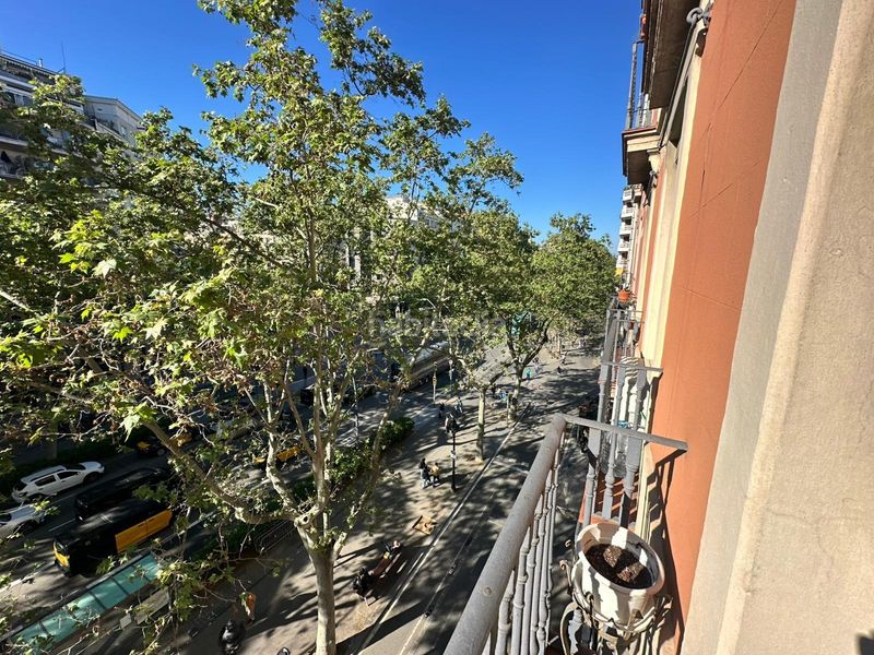 Foto 1afb04b9-7ce9-4a1e-b559-28de2e96a71d. Apartament a Sant Antoni Barcelona