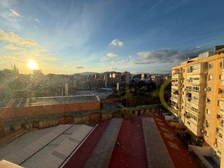 Pis a CORTS CATALANES