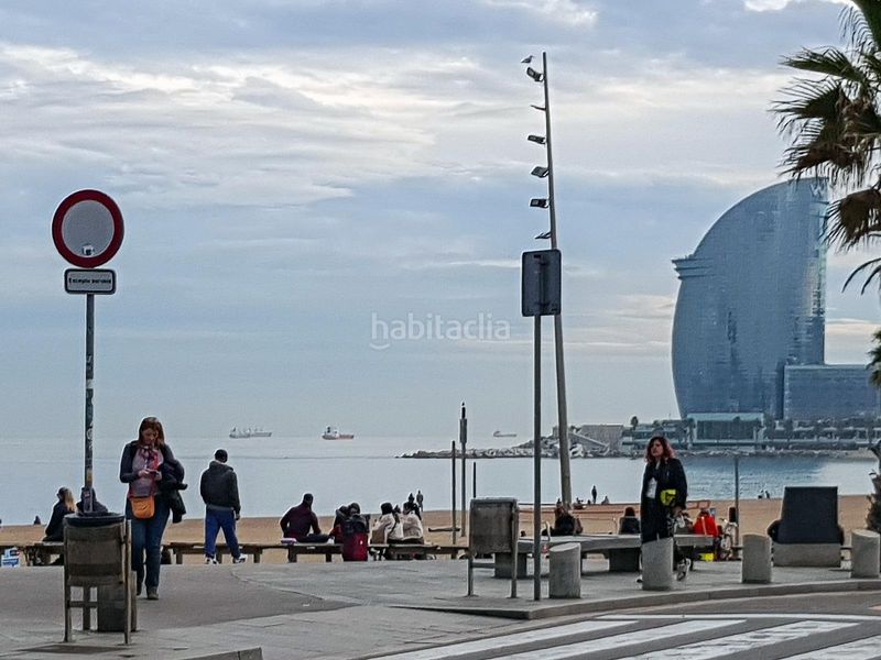 Foto f5c1de19-5258-49f9-8224-4c131c5cf305. Pis a Barceloneta Barcelona