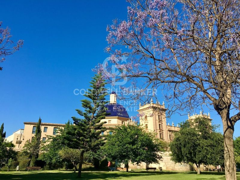 Foto a420ab11-ebb7-4e7c-8df5-608c7dbeee73. Pis a Morvedre Valencia