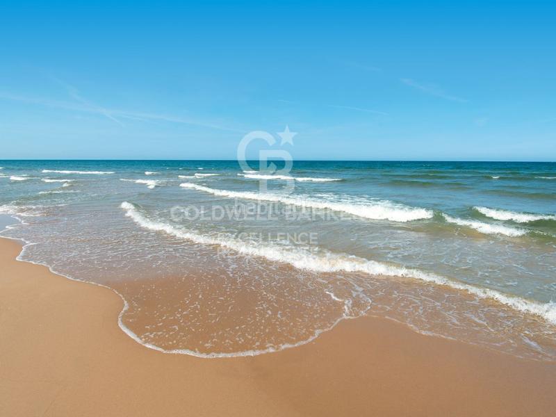 Foto 006d9239-7a90-4ded-923b-381c2f4a5cd5. Local comercial a Oliva nova Oliva