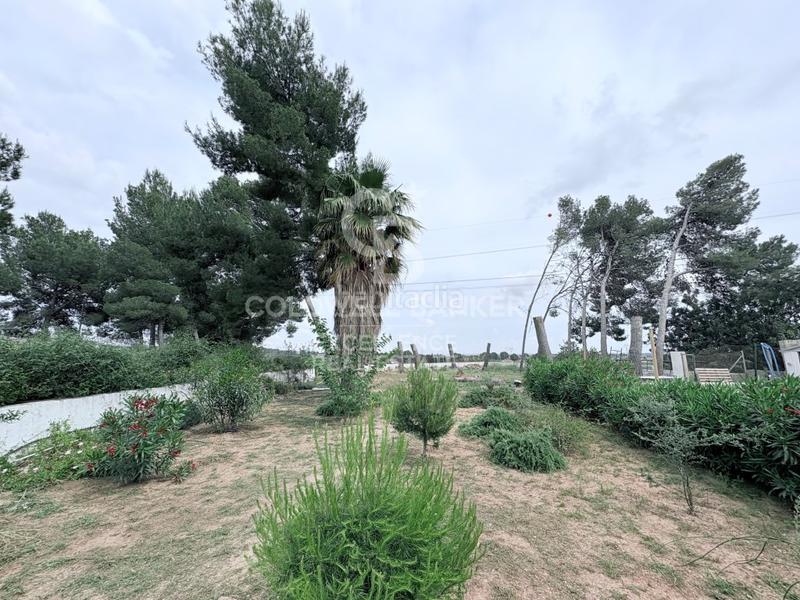 Foto 22e0350e-8b24-4287-b675-faa0bbf7b79a. Xalet amb aparcament piscina a Riba - roja de Túria