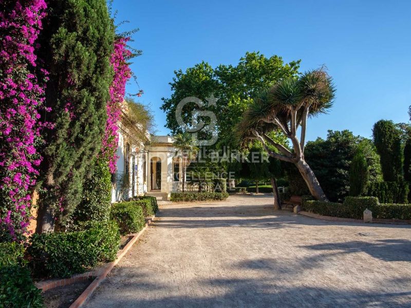 Foto bd68c523-452c-42e8-851f-8864ae3e65c4. Dúplex amb calefacció piscina a La Petxina Valencia