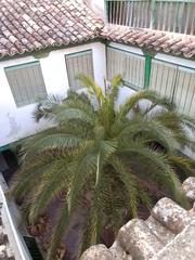 Masia a Calle colorados 6. ¡oportunidad única! casa de pueblo con gran potencial