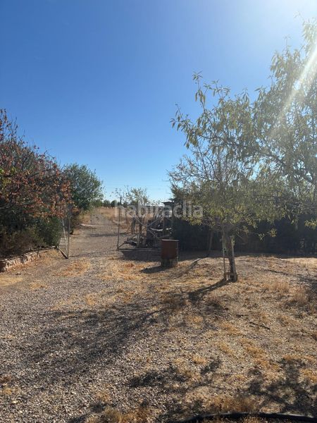 Foto 076e0af2-923e-4c65-b946-538f7279a365. Finca rústica a Vergel-Las Olivas Aranjuez