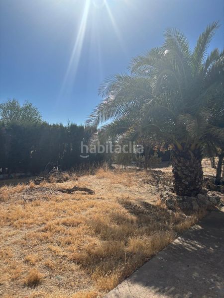 Foto 1a5b929f-bd2e-47a6-b209-2dab00f9e891. Finca rústica a Vergel-Las Olivas Aranjuez