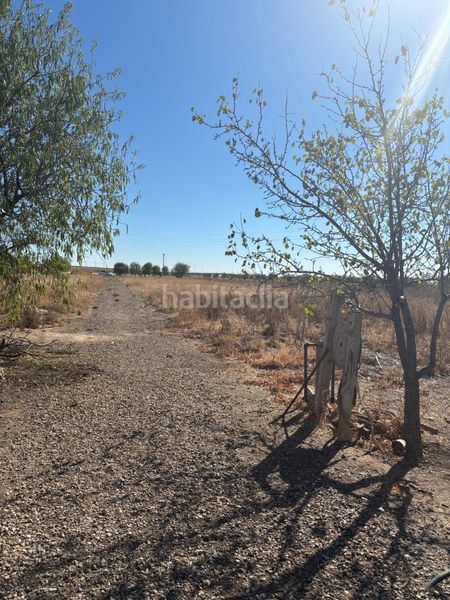 Foto 3062b684-ecc0-43e1-86c1-77ad91530fff. Finca rústica a Vergel-Las Olivas Aranjuez
