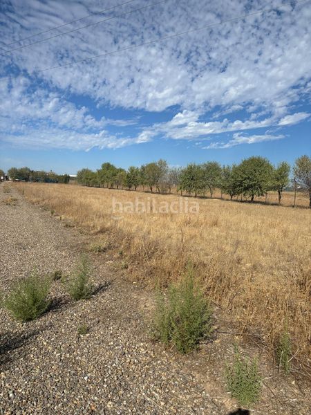 Foto 81ab0008-7509-4f8b-b78d-851fad25d50e. Finca rústica a Vergel-Las Olivas Aranjuez