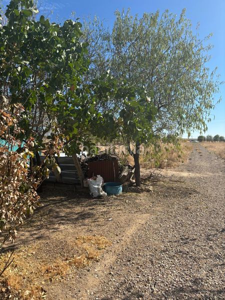 Foto a0bf0eaa-aded-4b37-bc25-127d6b543034. Finca rústica a Vergel-Las Olivas Aranjuez