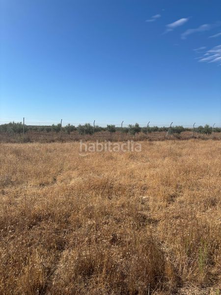 Foto bb541870-3ff6-46d9-8bfb-f84b3230be53. Finca rústica a Vergel-Las Olivas Aranjuez