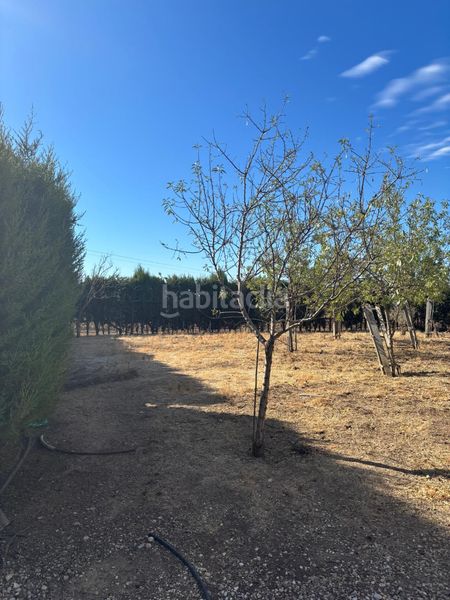 Foto dbc50956-ecd2-401d-900d-f3a3e799aec0. Finca rústica a Vergel-Las Olivas Aranjuez