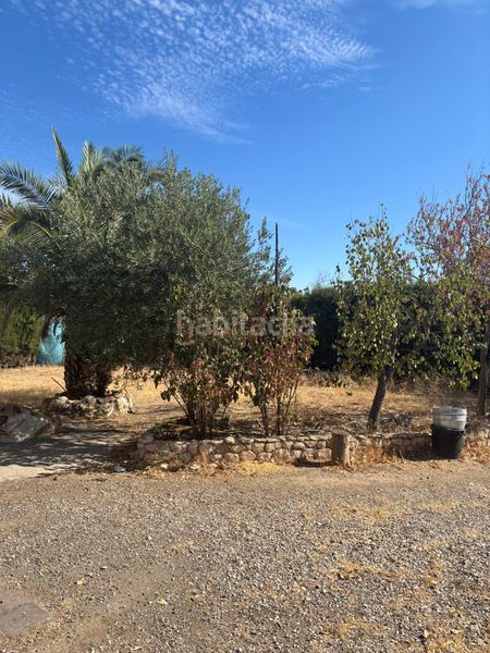 Foto ecb2719f-87a4-4802-a780-706bcaae40aa. Finca rústica a Vergel-Las Olivas Aranjuez