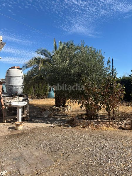 Foto f0bd7a21-d847-4617-baee-14b325a04ead. Finca rústica a Vergel-Las Olivas Aranjuez