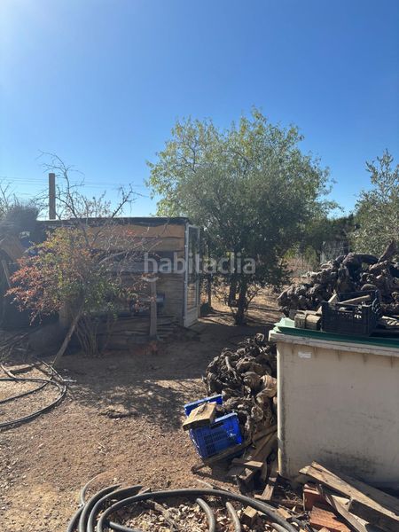 Foto fbb95c81-afe7-4124-9802-dc803c8c32d3. Finca rústica a Vergel-Las Olivas Aranjuez