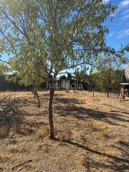Foto fccba096-a0d9-4cf6-8d9d-89e835d0ff72. Finca rústica a Vergel-Las Olivas Aranjuez