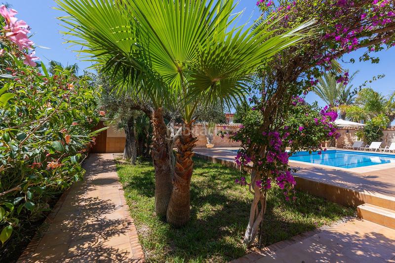 Foto 834a9877-c04b-48d4-a191-629e8eb54ddf. Chalet with parking pool in Punta Prima Orihuela