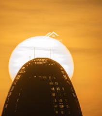 Piso  Fluvia. Acogedora vivienda en poblenou