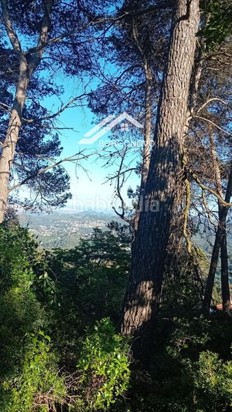 Foto b1eba635-2533-4eb1-8612-7b03135c2ab0. Finca rústica a Corbera de Llobregat
