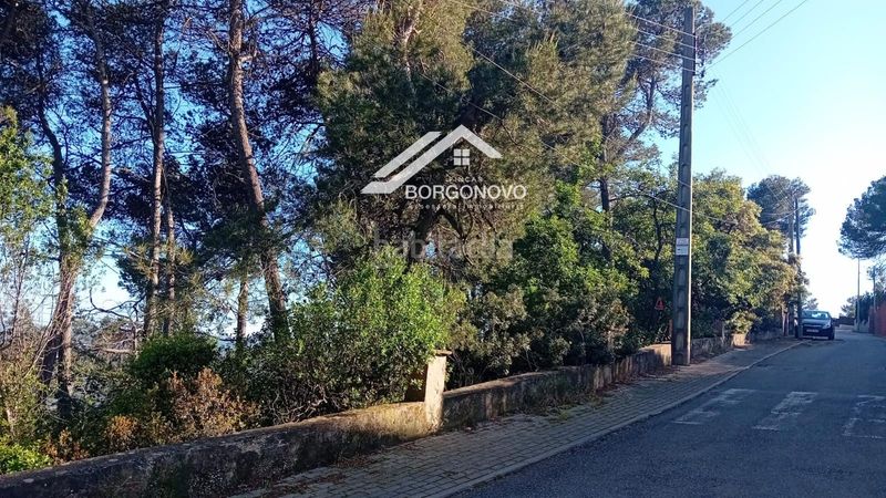 Foto e5985ea4-0a53-4103-9132-f6af0cab24ec. Finca rústica a Corbera de Llobregat