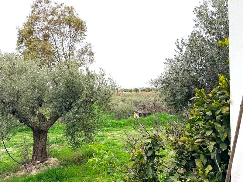 Foto 457959bb-59d0-4fad-85eb-62e075b8f77b. Casa a Oria