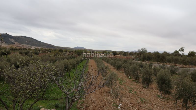 Foto 4b1fc391-e5b9-48ec-a89a-ff24b98cae89. Casa a Oria