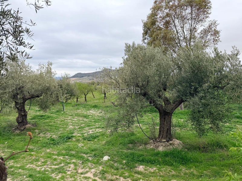 Foto 65458d21-8694-42b3-bc28-ea1b265e523a. Casa a Oria