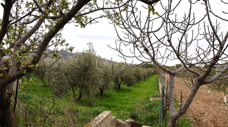 Foto 7dd7252b-f863-4b1d-b4ce-c3b12d75eb56. Casa a Oria