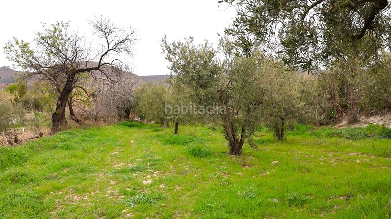 Foto 8fa04804-5678-491d-ab7d-2ef997476bff. Casa a Oria